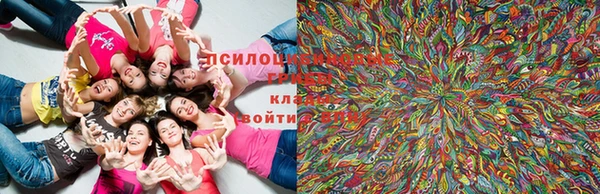 кокаин колумбия Алзамай