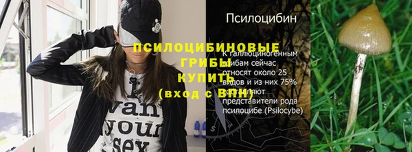 экстази Медвежьегорск