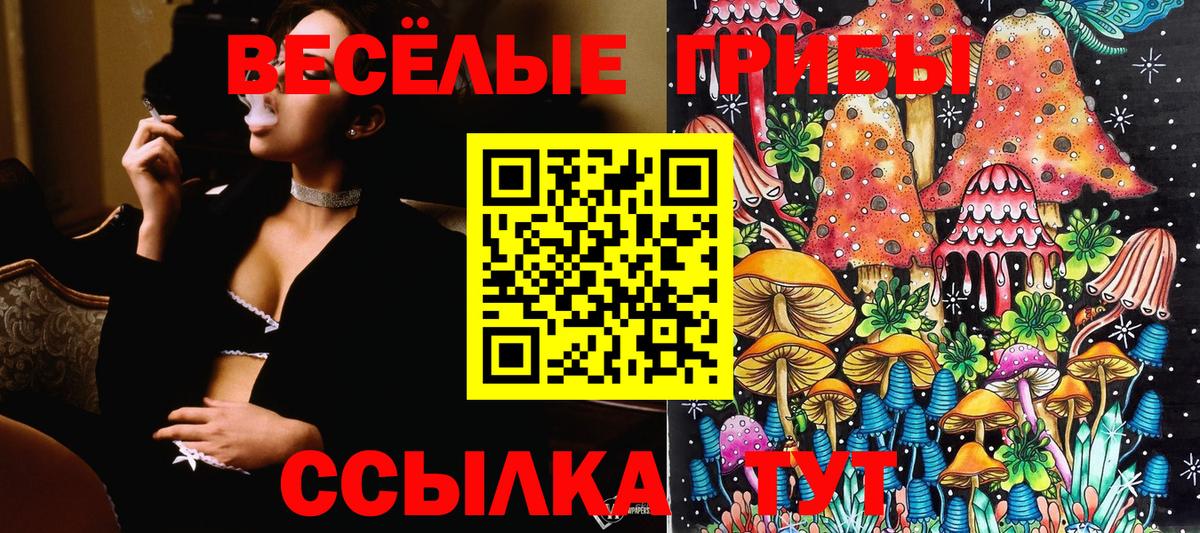 Псилоцибиновые грибы Magic Shrooms Домодедово
