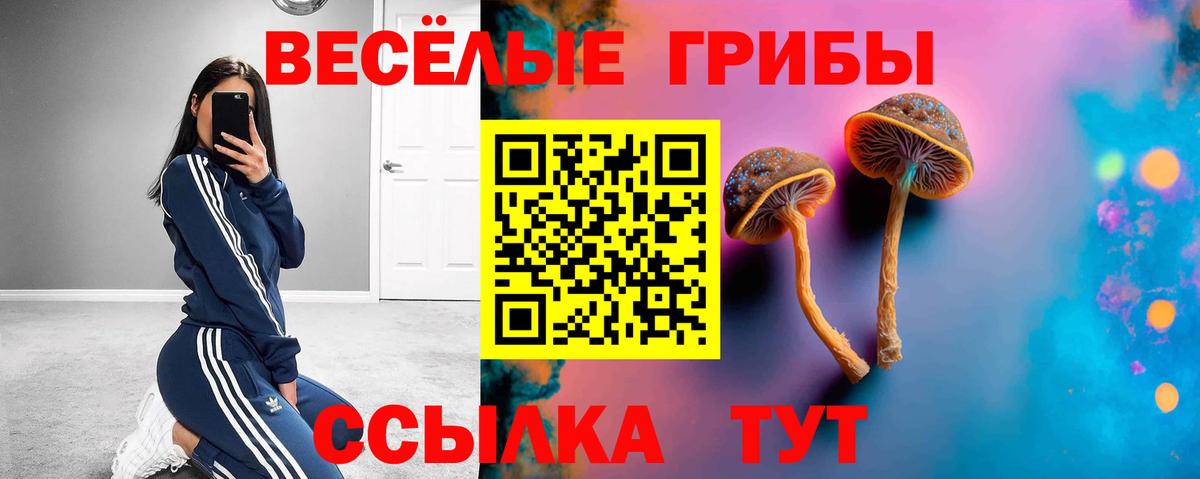 Галлюциногенные грибы GOLDEN TEACHER  Псилоцибиновые грибы Psilocybe  Домодедово  Вход с VPN 